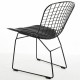 Silla Bertoia New Edition