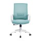 Mesh Ergo Lowback Office Chair in Fiber Mesh