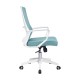 Mesh Ergo Lowback Office Chair in Fiber Mesh