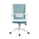 Mesh Ergo Lowback Office Chair in Fiber Mesh