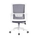 Mesh Ergo Lowback Office Chair in Fiber Mesh