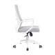 Mesh Ergo Lowback Office Chair in Fiber Mesh