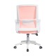 Mesh Ergo Lowback Office Chair in Fiber Mesh