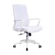 Mesh Ergo Lowback Office Chair in Fiber Mesh