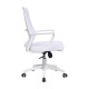 Mesh Ergo Lowback Office Chair in Fiber Mesh